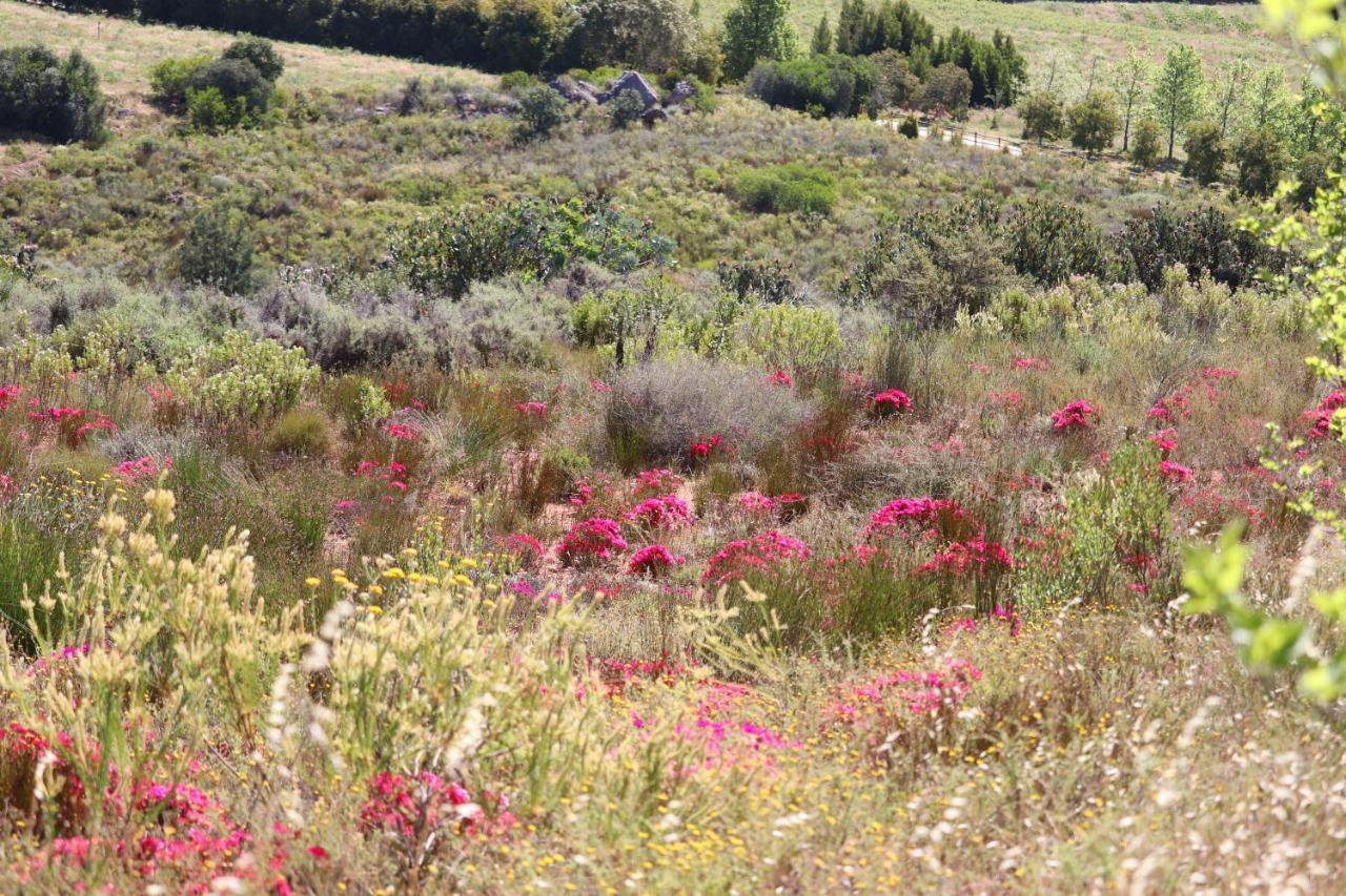Highlands Eco Estate Hotel Piketberg Eksteriør billede